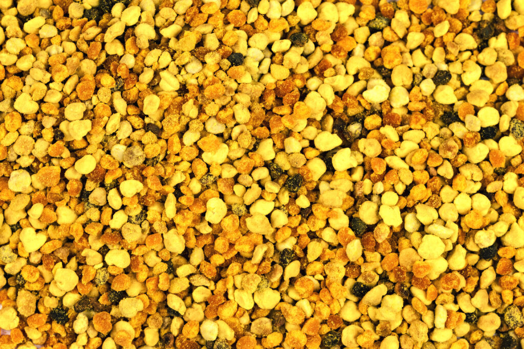 Closeup photo of pollen collection